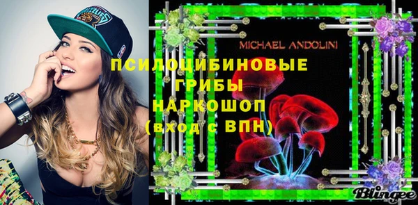 молекула духа Алексеевка