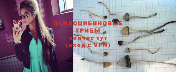 амф Алексин