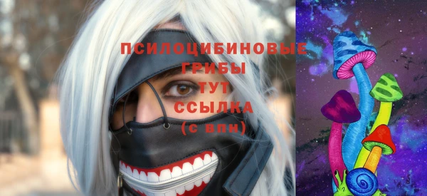 амф Алексин