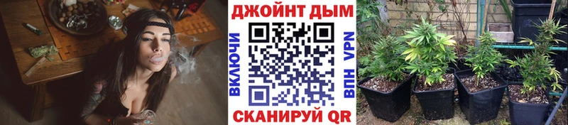 МАРИХУАНА Amnesia  Узловая 